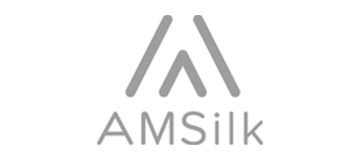 amsilk标志 - 慕尼黑SEO咨询